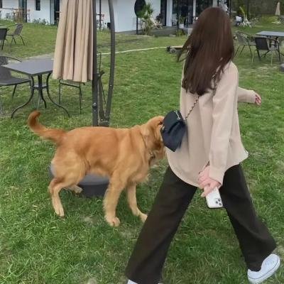 死亡阴影